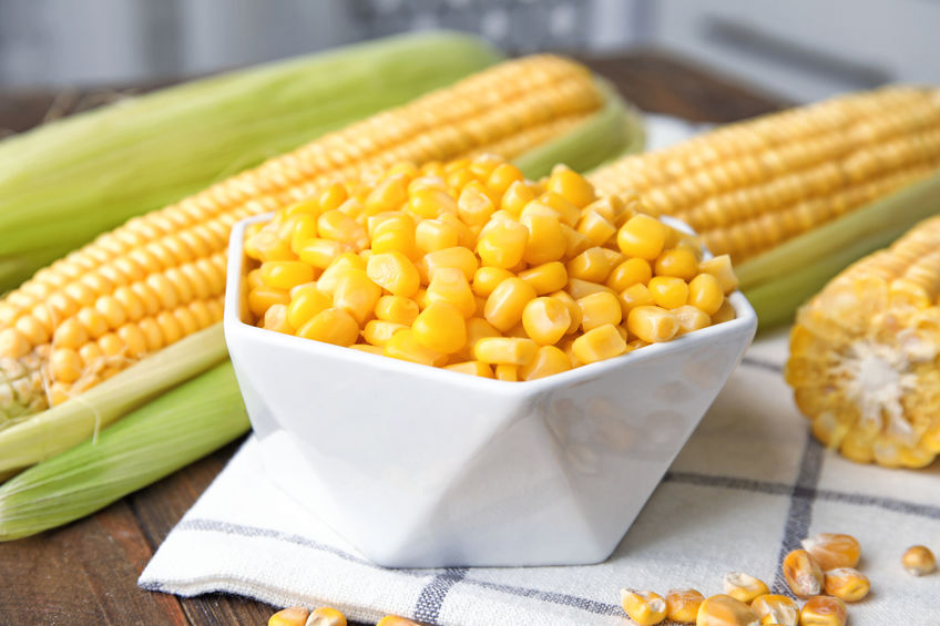 Maize & Corn